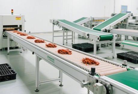 小龙虾烘干输送线