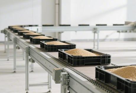 粮食收购自动输送线